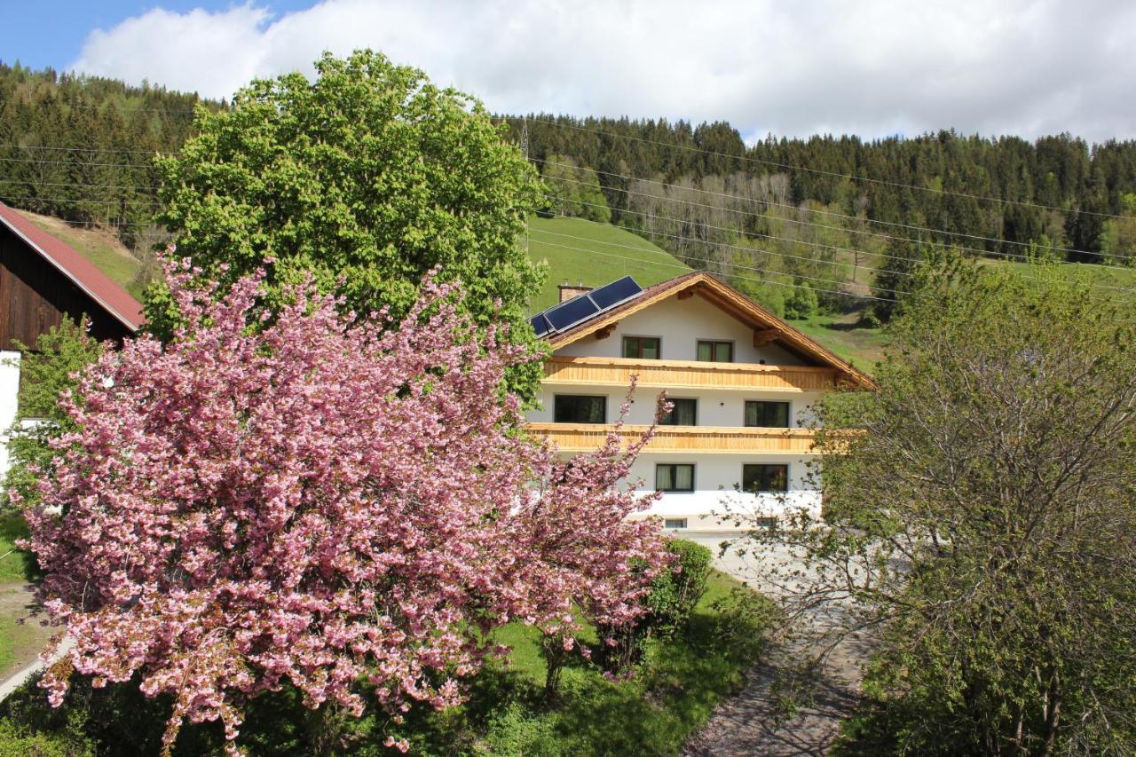 Appartamento Eiblhof Schladming Esterno foto